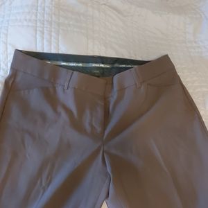 Express Editor Bootcut Pants